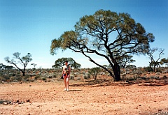 2000 - Australie 135G